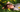 woman lying in field earthing